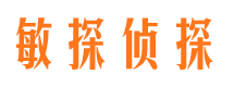 贵德市调查公司